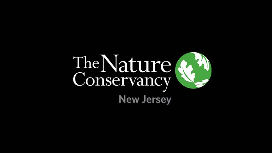 The Nature Conservancy