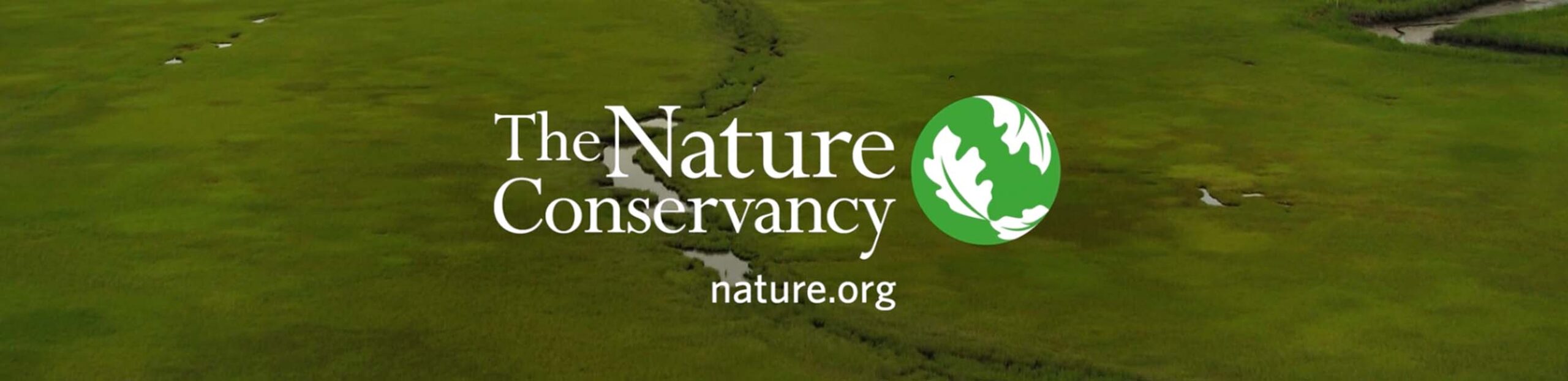 Drone shot of a marsh in a Nature Conservancy nonprofit video production by Awakened Films